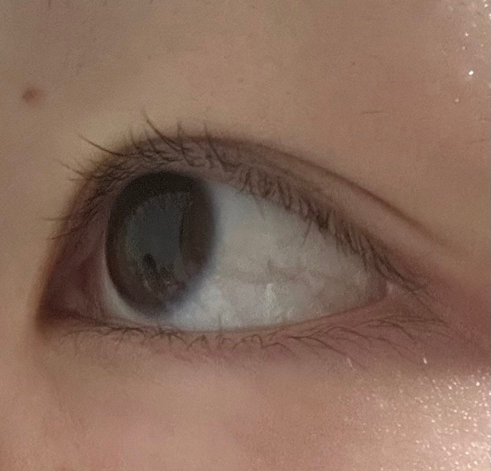 【旧品】パーフェクトスタイリストアイズ/キャンメイク/アイシャドウパレットを使ったクチコミ(3枚目)