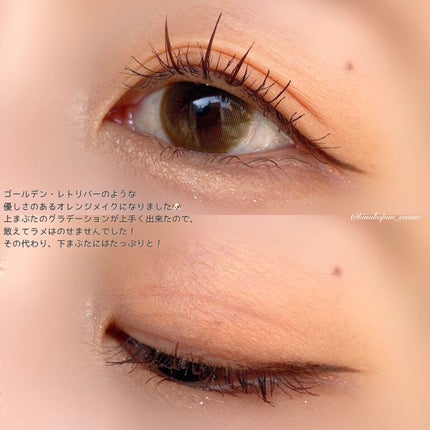 アニマルアイシャドウ(4シェード)/ZEESEA/アイシャドウパレットを使ったクチコミ(4枚目)