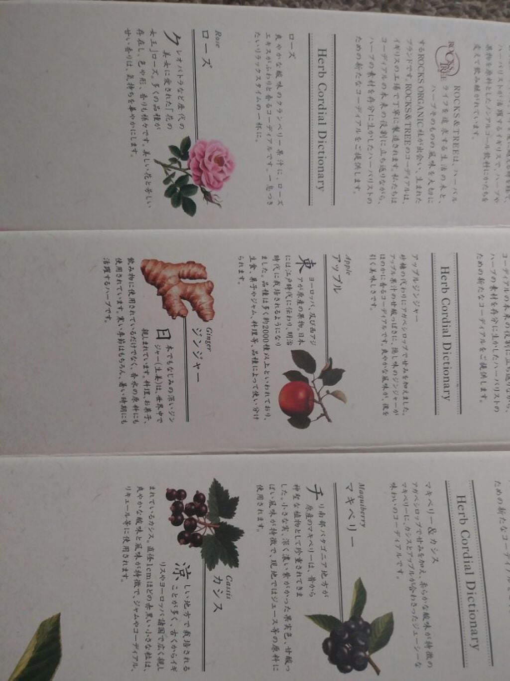 ハーブコーディアル 有機ローズ/生活の木/ドリンクを使ったクチコミ(3枚目)