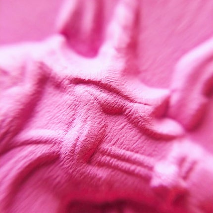 ユニコーンシリーズ チークブラッシュ/FlowerKnows/パウダーチークを使ったクチコミ(3枚目)