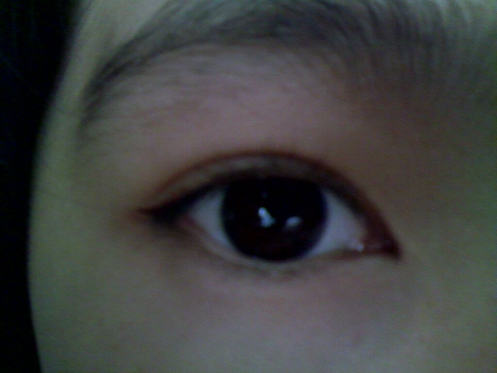 カンコレ リキッドアイライナー/DAISO/リキッドアイライナーを使ったクチコミ(1枚目)