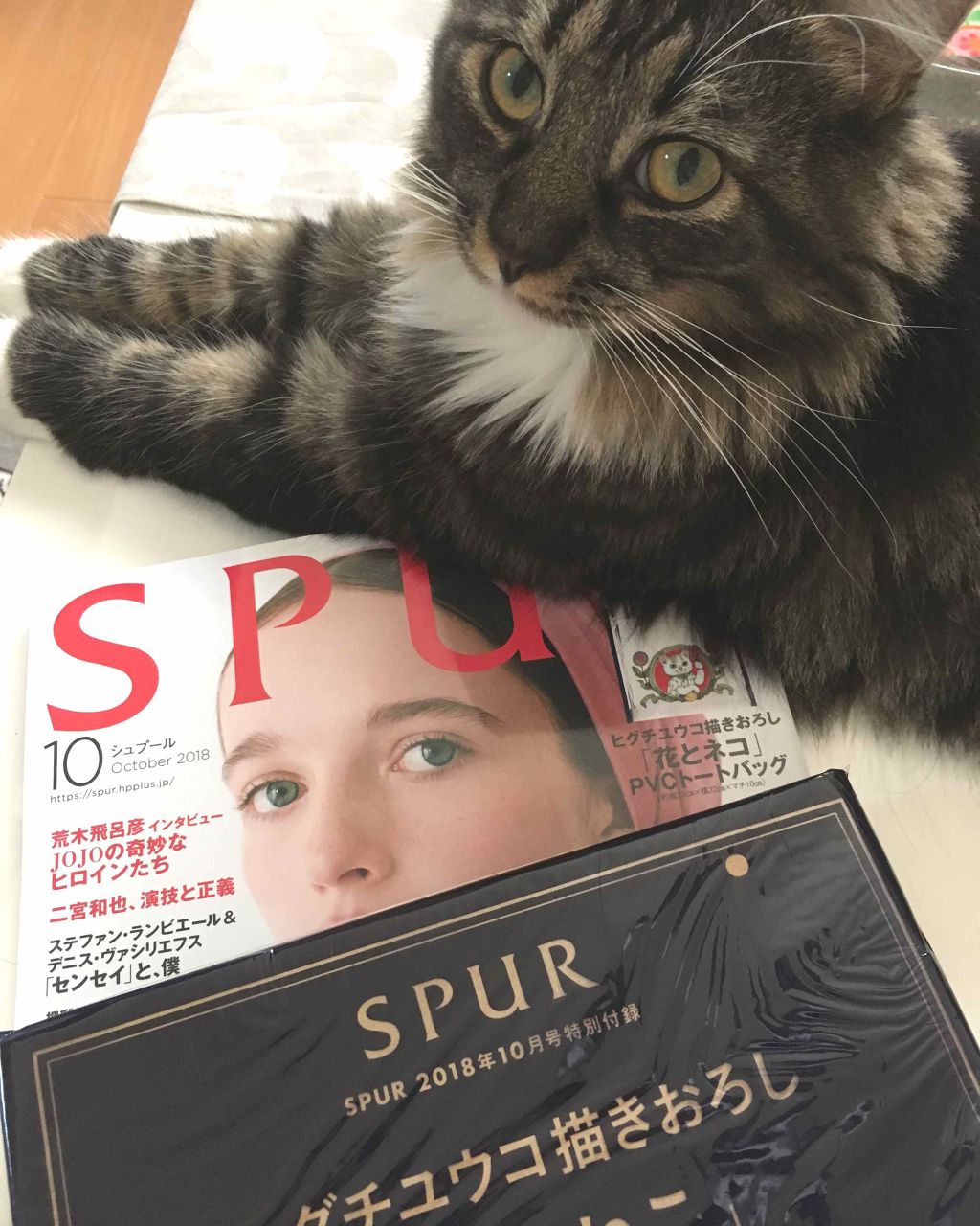 白湯 on LIPS 「雑談ですが、お母さんに頼まれたSPURをゲット。ヒグチユウコさ..」(1枚目)