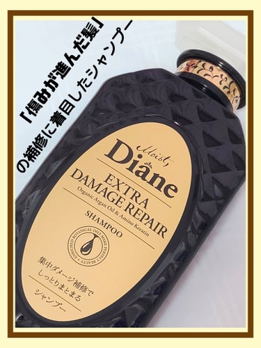 「傷んだ毛先」&「パサつく髪」に…。
エクストラダメージリペアシャンプー。

☑️アルガンオイルが髪の奥まで浸透。
☑️サボテン&マンゴーオイルでまとまり感を。
☑️アミノケラチンが傷んだ髪を内部まで補