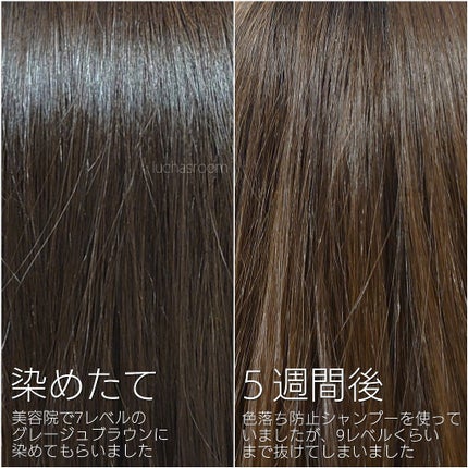 エンシェールズカラーバター ダークシルバー/エンシェールズ/ヘアカラーを使ったクチコミ(2枚目)