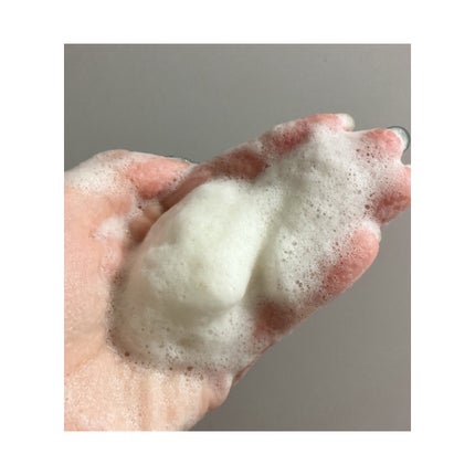 グリーンティー&エンザイムパウダーウォッシュ/By Wishtrend/洗顔パウダーを使ったクチコミ(2枚目)