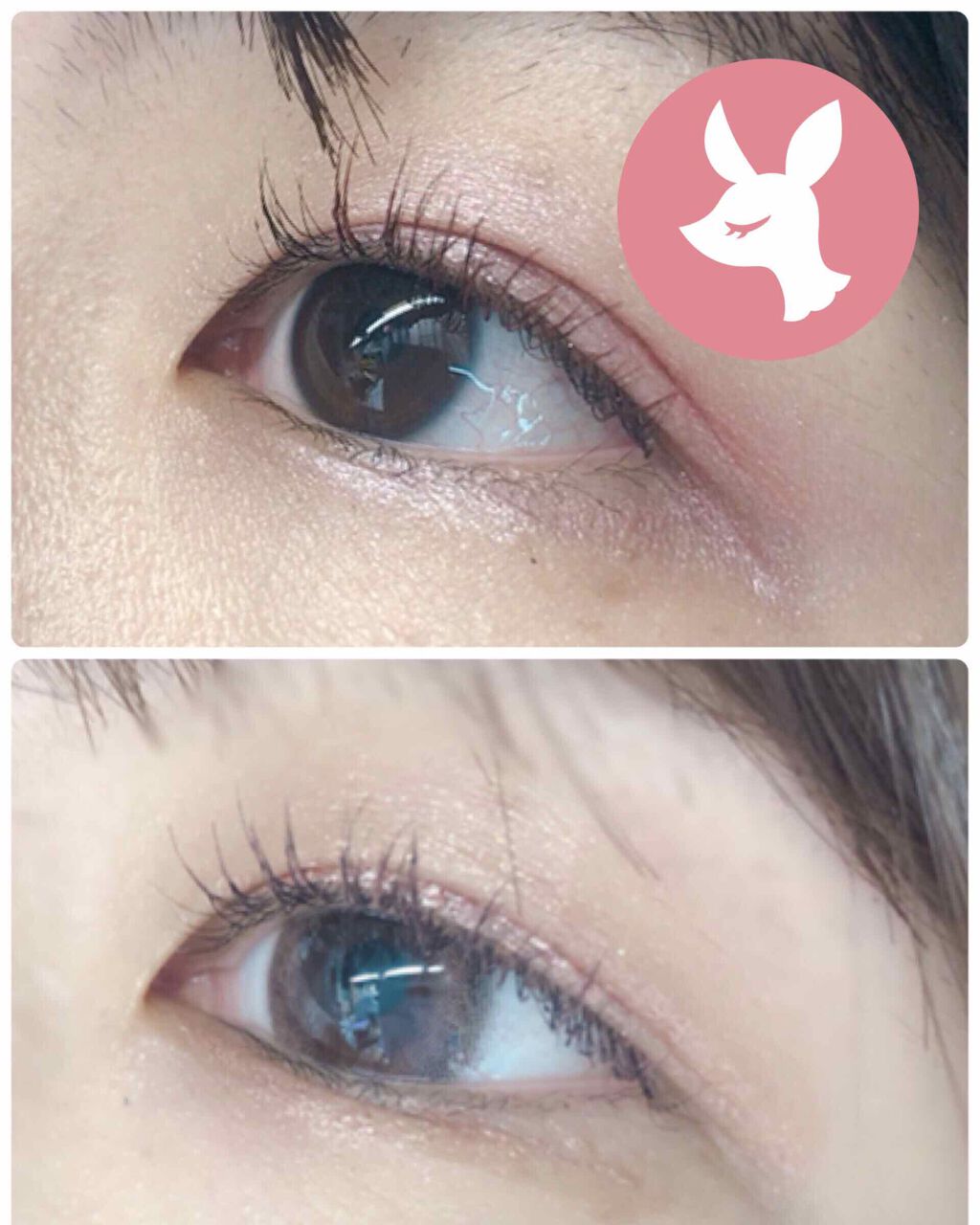 eye closet 1DAY/EYE CLOSET/ワンデー(1DAY)カラコンを使ったクチコミ(3枚目)