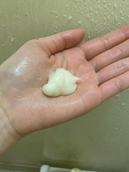 オイルイントリートメント(リッチ&リペア)/ディアボーテ/洗い流すヘアトリートメントを使ったクチコミ(3枚目)