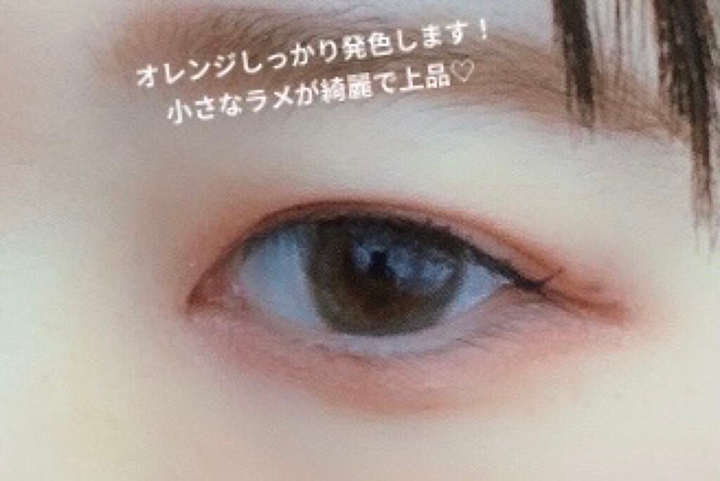 スキニーリッチシャドウ/excel/アイシャドウパレットを使ったクチコミ(4枚目)