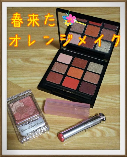 ピカシュウ アイ パレット - ブリック ブラスト/shu uemura/アイシャドウパレットを使ったクチコミ(1枚目)