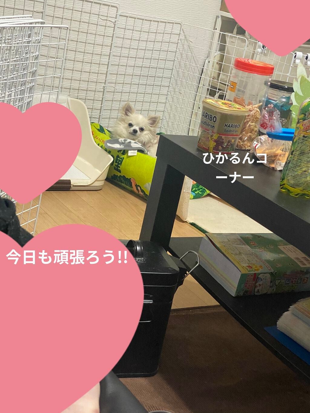 シューベルベット/AMUSE/口紅を使ったクチコミ(9枚目)