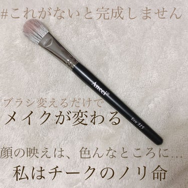 Eve315/Ancci brush/メイクブラシを使ったクチコミ（1枚目）