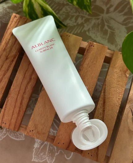 cherry on LIPS 「アルブラン様からいただきました。୨୧‥∵‥‥∵‥‥∵‥‥∵‥୨..」(5枚目)