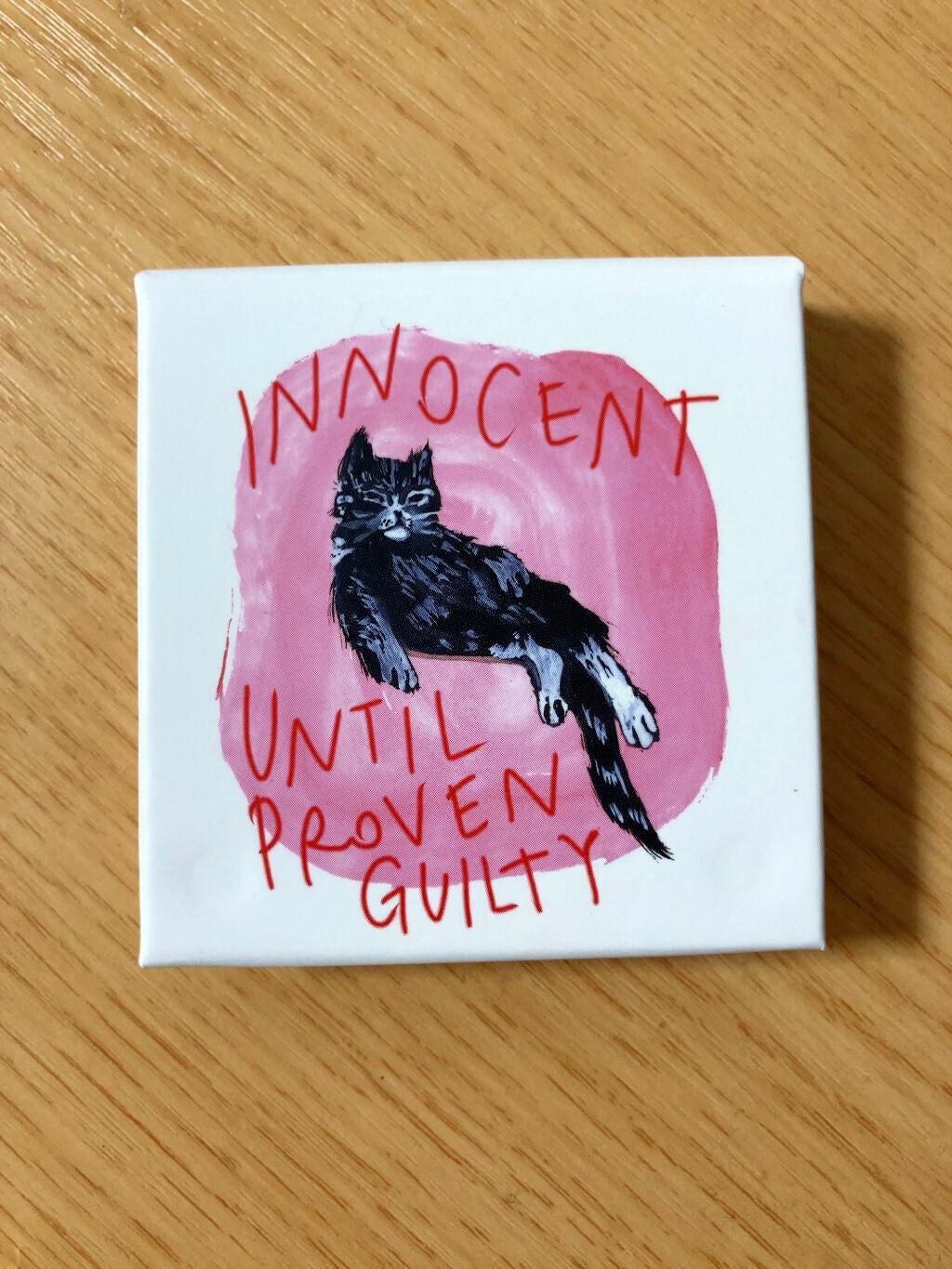 コンパクト/PAUL & JOE BEAUTE/その他化粧小物を使ったクチコミ(1枚目)