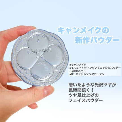 マイグロウハイライター/TIRTIR(ティルティル)/スティックハイライトを使ったクチコミ(4枚目)