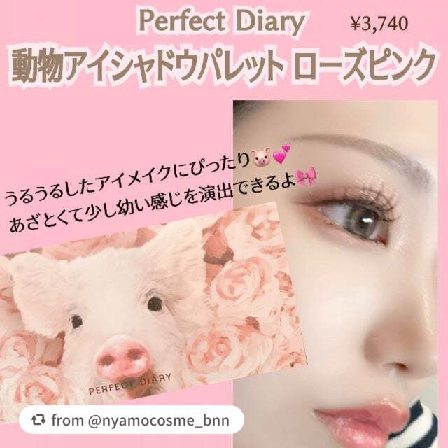 エクスプローラ12色 動物アイシャドウパレット/PERFECT DIARY/アイシャドウパレットを使ったクチコミ(2枚目)