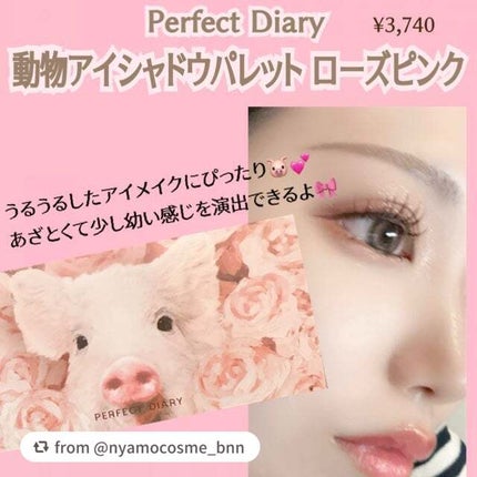 エクスプローラ12色 動物アイシャドウパレット/PERFECT DIARY/アイシャドウパレットを使ったクチコミ(2枚目)
