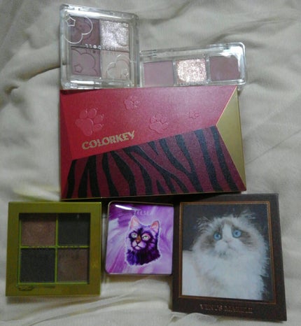 トラ十色アイシャドウパレット/COLORKEY/アイシャドウパレットを使ったクチコミ(1枚目)