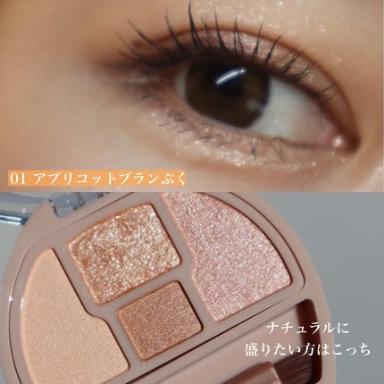 プランぷくコーデアイズ/キャンメイク/パウダーアイシャドウを使ったクチコミ(2枚目)