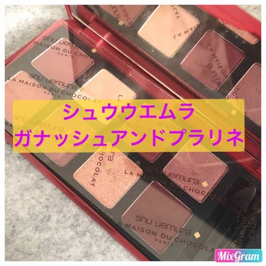 ガナッシュ アンド プラリネ アイパレット/shu uemura/パウダーアイシャドウを使ったクチコミ（1枚目）