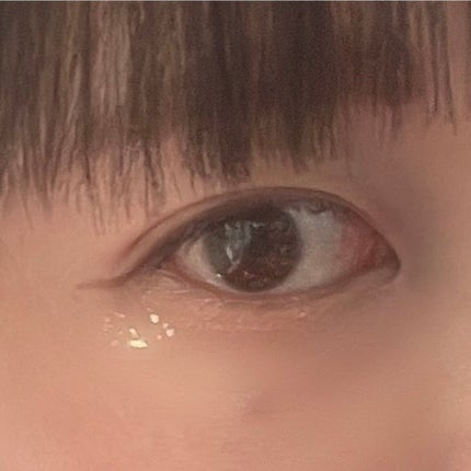 デュオ ポケット グリッター シャドウ/PERIPERA/アイシャドウパレットを使ったクチコミ(3枚目)