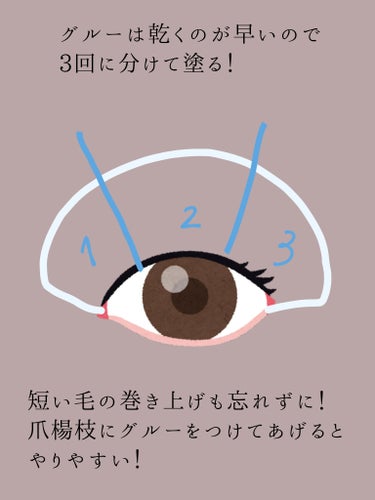 EYE2IN 低刺激 セルフプロ用 まつげパーマ 3種 セット/Qoo10/その他キットセットを使ったクチコミ（5枚目）