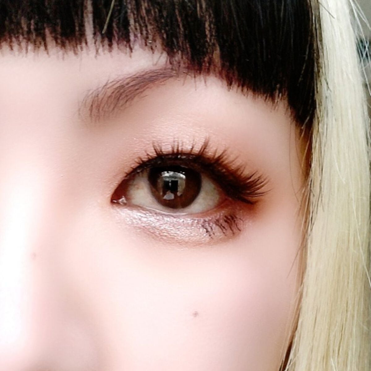 ベージュトーンアイシャドウ/CEZANNE/アイシャドウパレットを使ったクチコミ(6枚目)