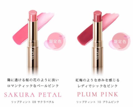 オペラ リップティント N/OPERA/リップティントを使ったクチコミ(1枚目)