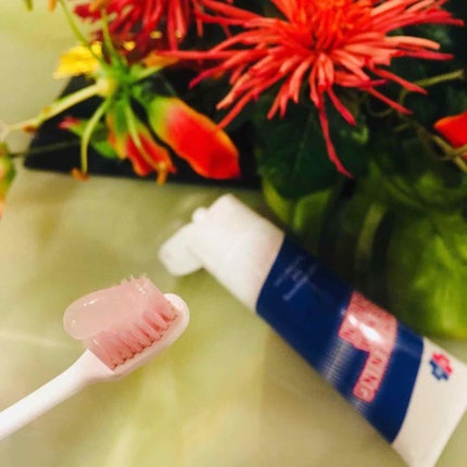 薬用ホワイトニング デンタクリーン/シーヴァ/歯磨き粉を使ったクチコミ(3枚目)