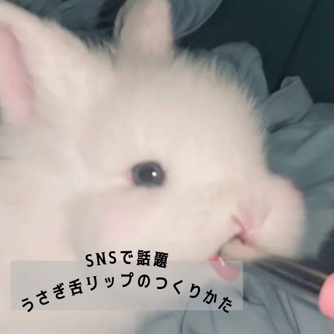 オペラ リップティント N/OPERA/リップティントを使ったクチコミ（1枚目）