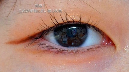 エクスプローラ12色 動物アイシャドウパレット/PERFECT DIARY/アイシャドウパレットを使ったクチコミ(6枚目)