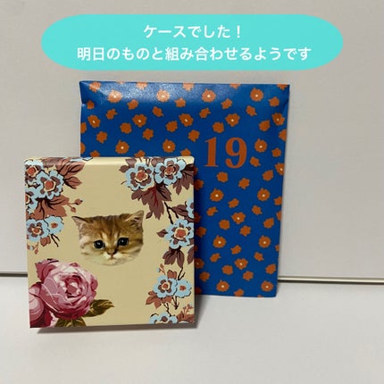 メイクアップ コレクション 2022/PAUL & JOE BEAUTE/メイクアップキットを使ったクチコミ(2枚目)