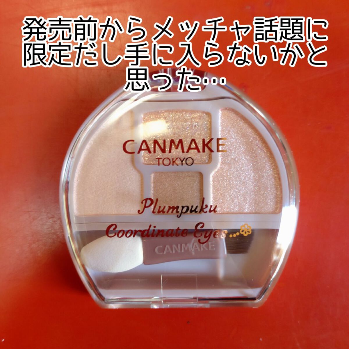 プランぷくコーデアイズ/キャンメイク/パウダーアイシャドウを使ったクチコミ（2枚目）