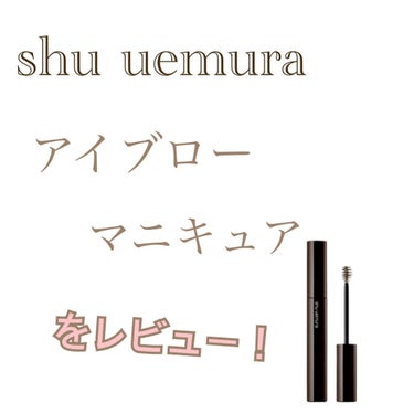 アイブロー マニキュア パームベージュ/shu uemura/眉マスカラを使ったクチコミ（2枚目）