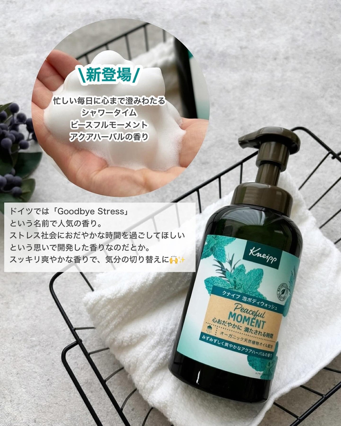 クナイプ 泡ボディウォッシュ グーテナハト ホップ&バレリアンの香り/クナイプ/ボディソープを使ったクチコミ(6枚目)