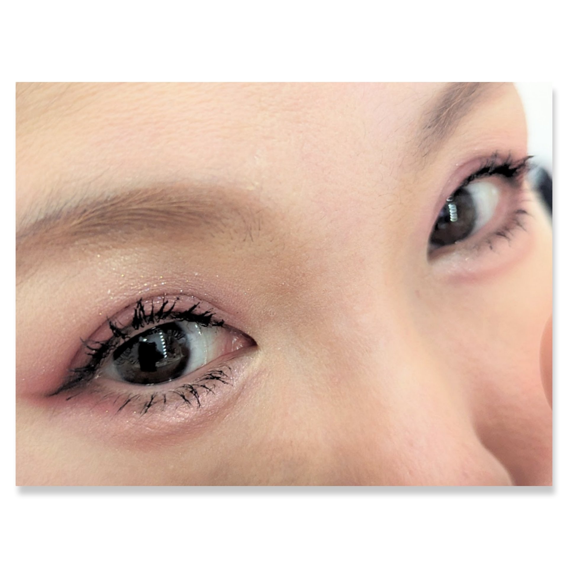 パーフェクトマルチアイズ/キャンメイク/アイシャドウパレットを使ったクチコミ（2枚目）