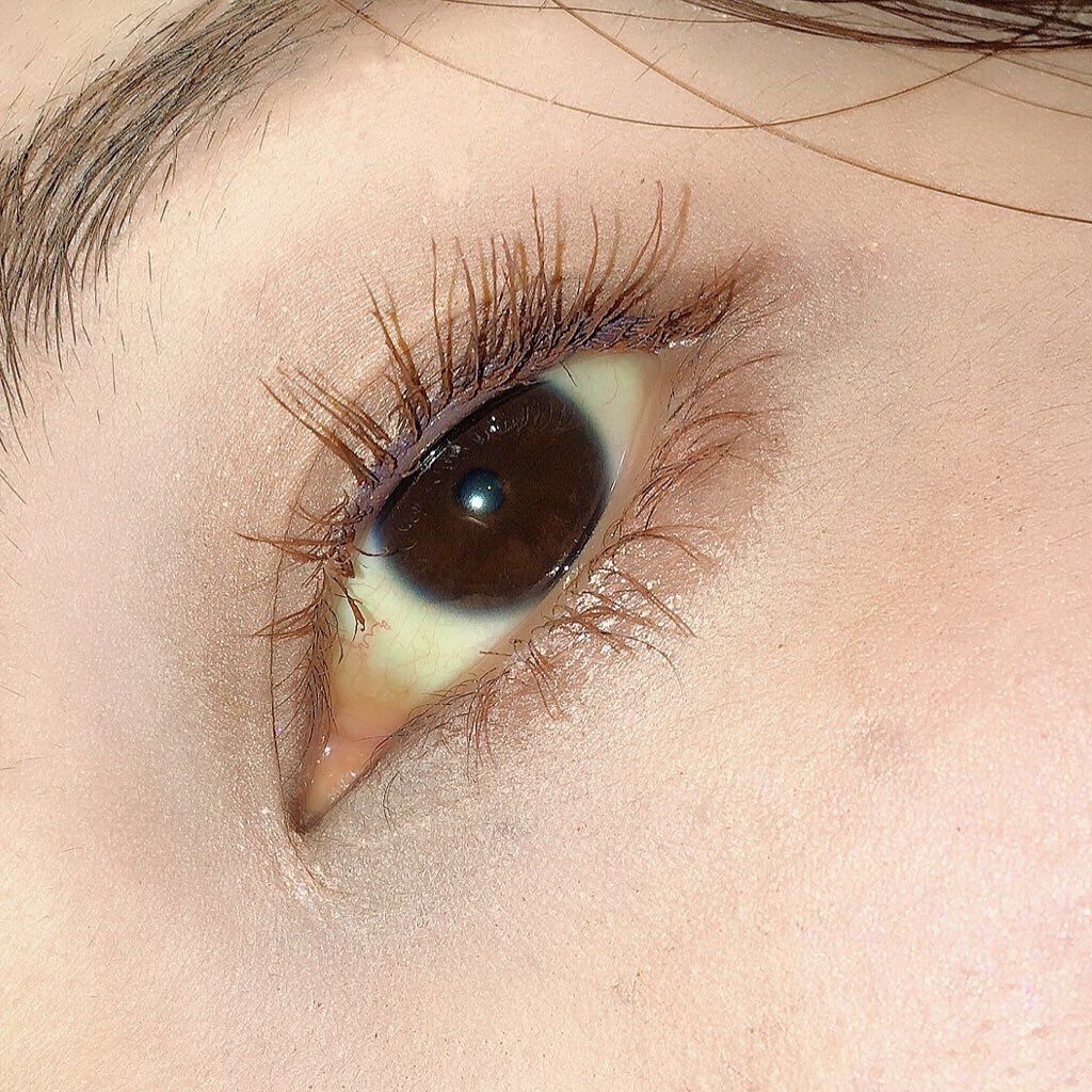 クイックラッシュカーラー/キャンメイク/マスカラ下地を使ったクチコミ(3枚目)