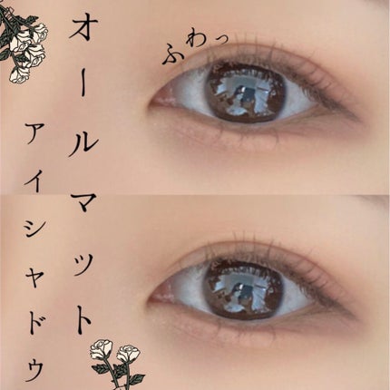 プロ アイ パレット/CLIO/アイシャドウパレットを使ったクチコミ(1枚目)