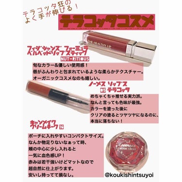 PHYSICIANS FORMULA ヘルシーリップのクチコミ「どうもおやきです。

テラコッタカラーが大好きな私(#イエベ秋)がサクッと使うことの多いお気に.....」（1枚目）