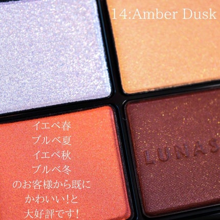 アイカラーレーション/LUNASOL/アイシャドウパレットを使ったクチコミ(6枚目)