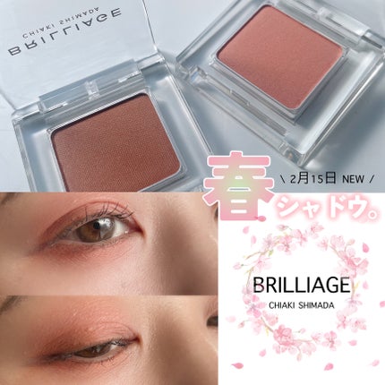 ワンダークリエイション /ブリリアージュ/単色アイシャドウを使ったクチコミ(1枚目)