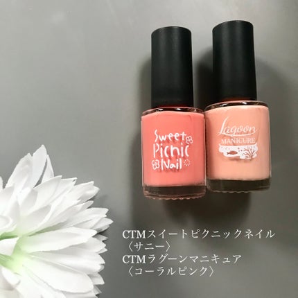 CTMラグーンマニキュア/キャンドゥ/マニキュアを使ったクチコミ(2枚目)