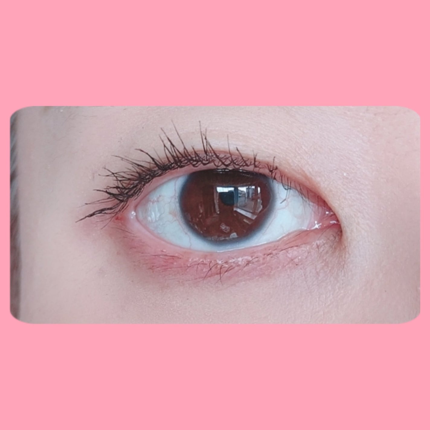 ハイパーリフトマスカラ/D-UP/マスカラを使ったクチコミ(4枚目)