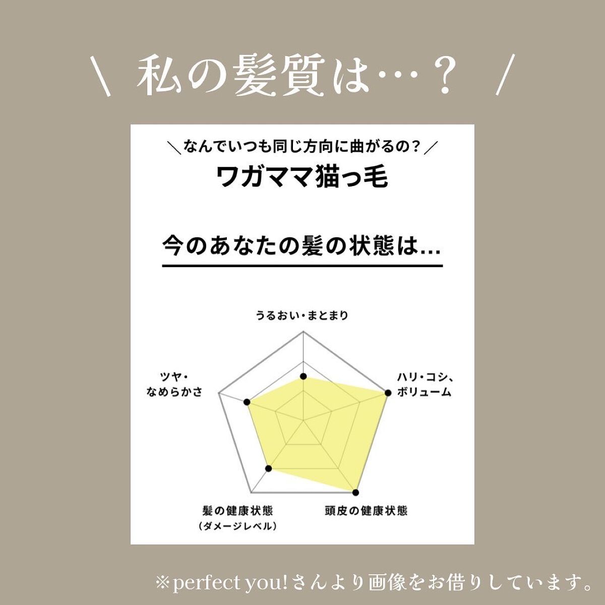 パーフェクト スムース シャンプー/コンディショナー/NatureLab. TOKYO/サロンシャンプーを使ったクチコミ(2枚目)