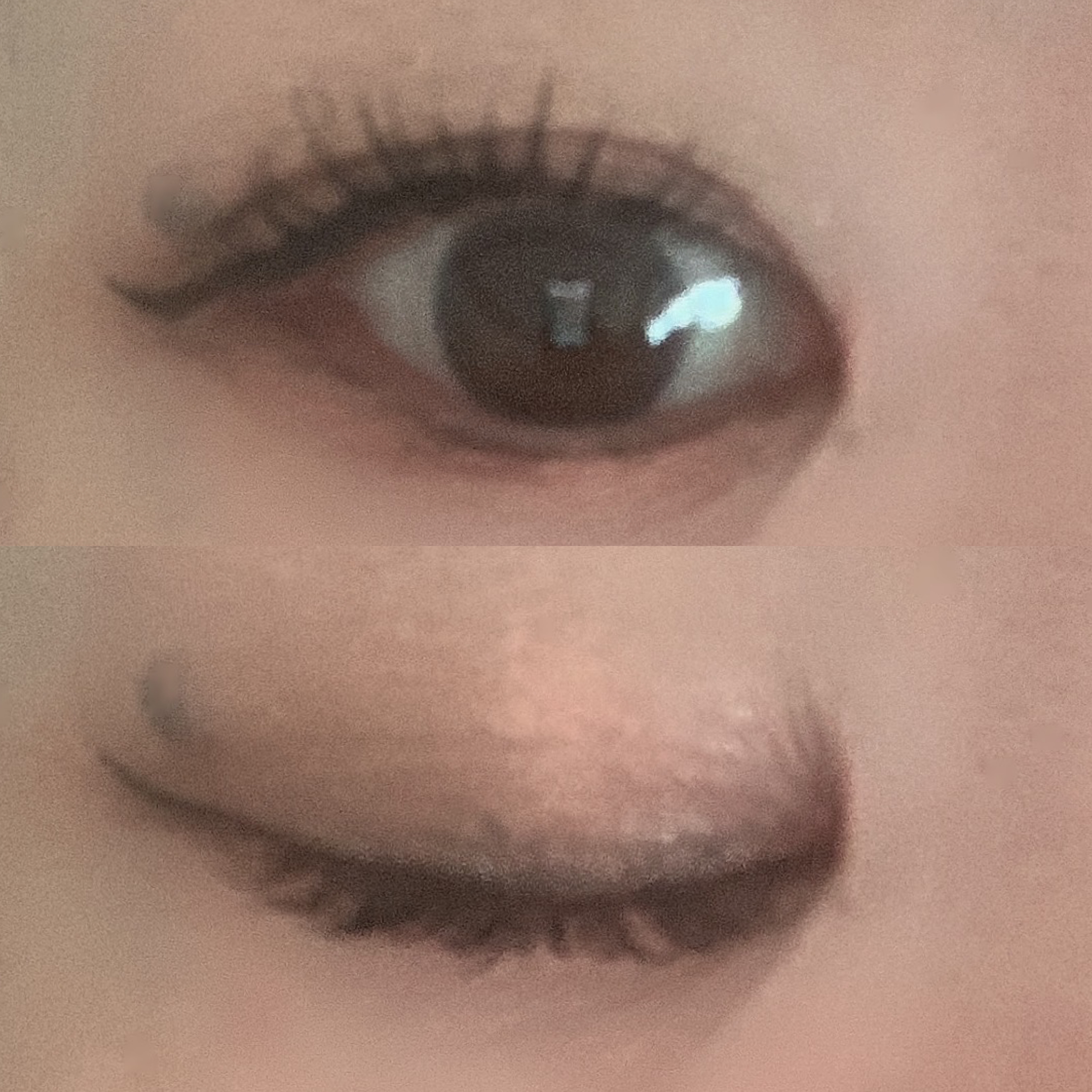 MISSHA イージー フィルター シャドウパレット AT(アットコスメ限定カラー)/MISSHA/アイシャドウパレットを使ったクチコミ（2枚目）