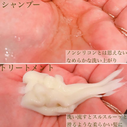 レヴール スムース&モイスト シャンプー/トリートメント/Reveur(レヴール)/市販シャンプーを使ったクチコミ(6枚目)