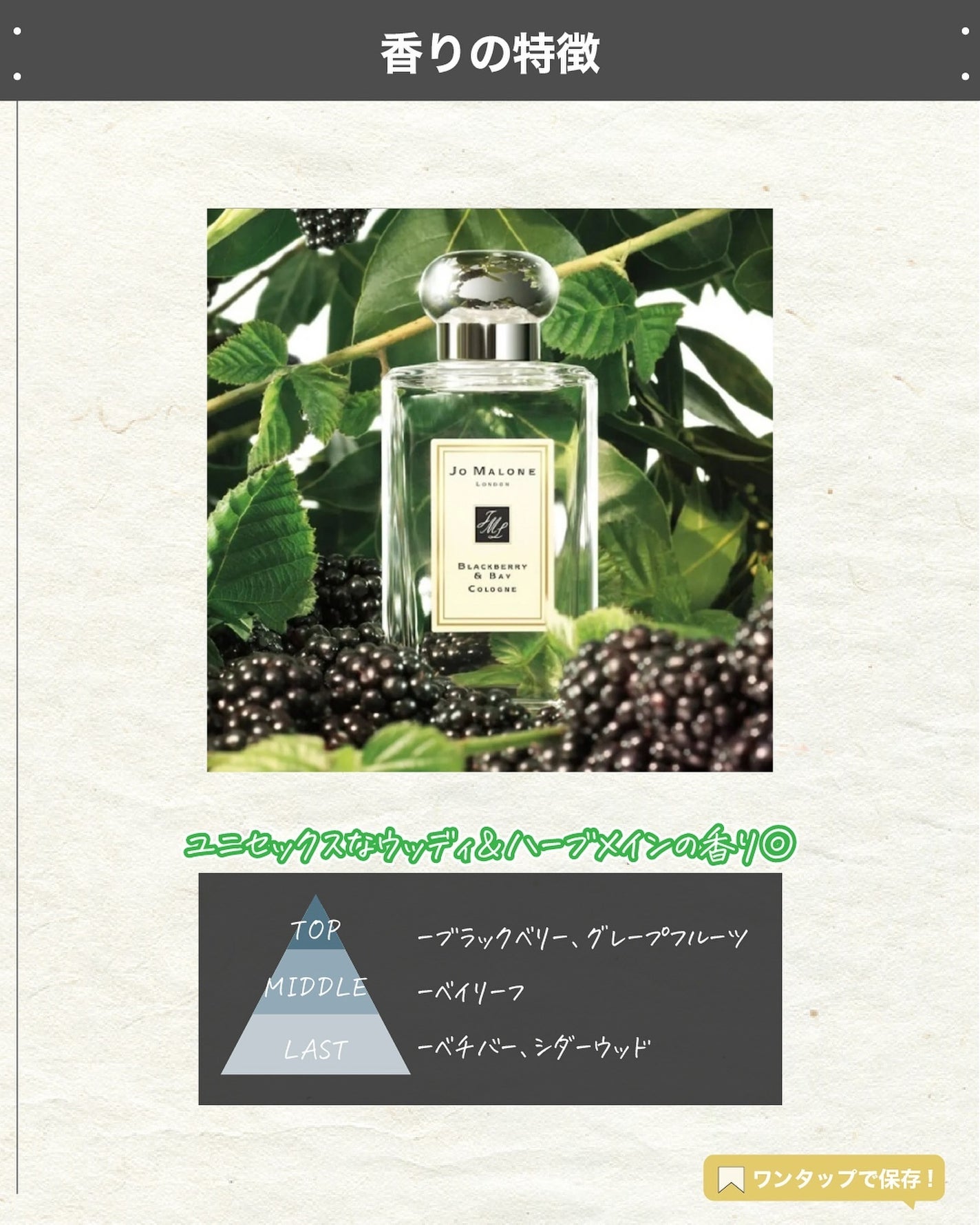 ブラックベリー & ベイ コロン/Jo MALONE LONDON/香水(レディース)を使ったクチコミ(3枚目)