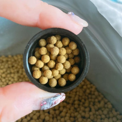 ちっちみ on LIPS 「🕊𓂃𓈒𓏸#漢方ダイエットOnbody韓医院@onbodycl..」(7枚目)