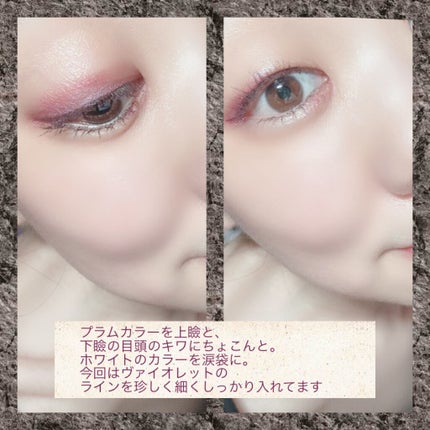 UR GLAM VELVET EYE COLOR PALETTE/U R GLAM/アイシャドウパレットを使ったクチコミ(3枚目)