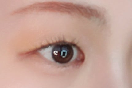 ã·ã«ããŒãªãããã¢ã€ã©ã€ããŒWP/D-UP/ãªãããã¢ã€ã©ã€ããŒã䜿ã£ãã¯ãã³ãïŒ4æç®ïŒ