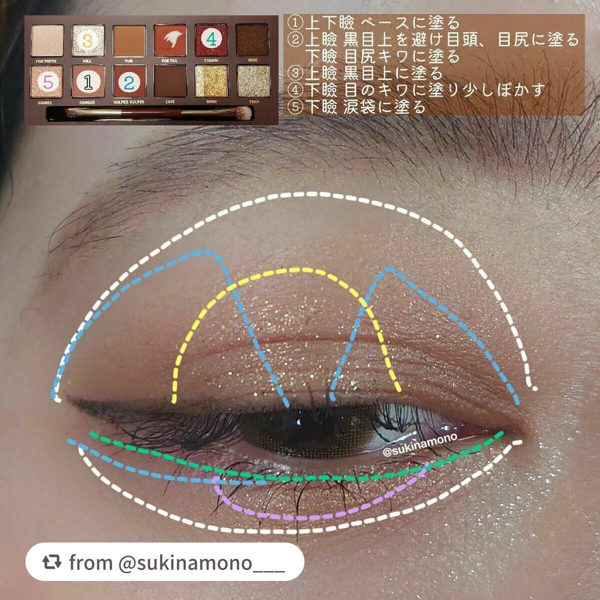 エクスプローラ12色 動物アイシャドウパレット/PERFECT DIARY/アイシャドウパレットを使ったクチコミ(5枚目)